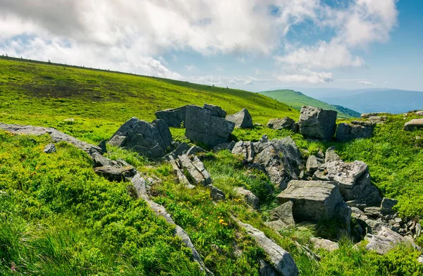 çimenli tepelerde büyük kayalık oluşumlar. bulutlu bir günde geç yaz aylarında güzel dağ manzarası. konumu Runa dağ, Ukrayna