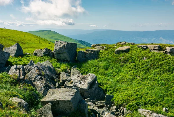 Beyaz keskin taşlar ve kayalar Karpat dağ üstüne yamaca