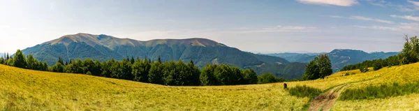 Vackra Panorama Över Sommarlandskap Berg Bokskogen Gräsbevuxen Äng Enorma Berg — Stockfoto