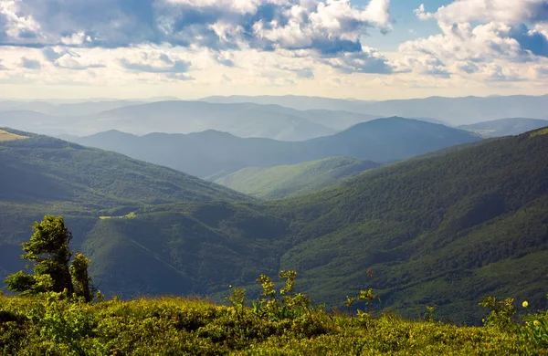 bir bulutlu yaz öğleden sonra tepeler. kabarık bulutlar uzak dağ sırtı üzerinde. güzel ışık, harika doğa arka planda dağlık manzara