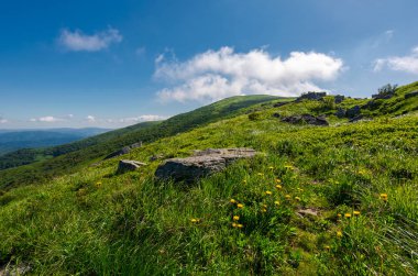 çimenli hillside Dağı buzlu. sarı dandelions yol yokuş yukarı içinde kabarık bulutlar gökyüzü için. güzel yaz sahne. izleme ve etkinliği arka plan hiking