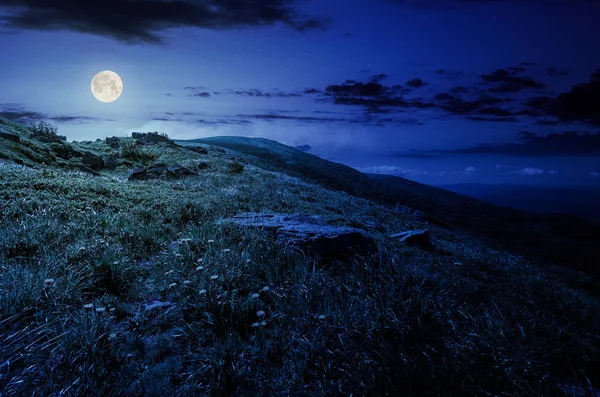 Rochers Sur Colline Herbeuse Montagne Nuit Pleine Lune Pissenlits Jaunes — Photo