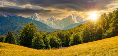 gün batımında gökkuşağı altında dağlarda bileşik yaz manzara. mükemmel kırsal manzara kayın ormanı çimenli hillside ve yüksek Tatra dağ sırtı mesafe ile