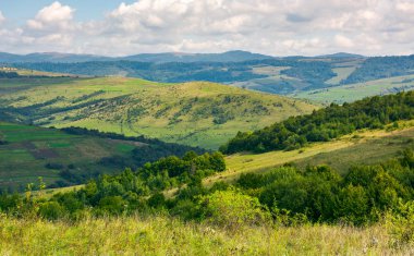 alanları ve orman yamaca manzara. dağlarda güzel sisli gündoğumu