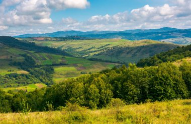 alanları ve orman yamaca manzara. dağlarda güzel sisli gündoğumu