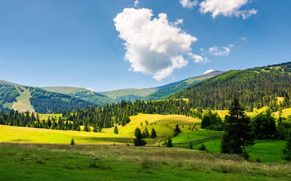 Vacker Lantlig Natur Bergen Höstack Gräsbevuxna Åkrar Bland Granskogen Kullarna — Stockfoto