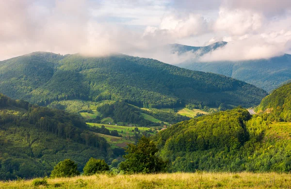 Härliga Bergiga Landskapet Höst Skog Gräsbevuxen Kulle Den Vackra Molnig — Stockfoto