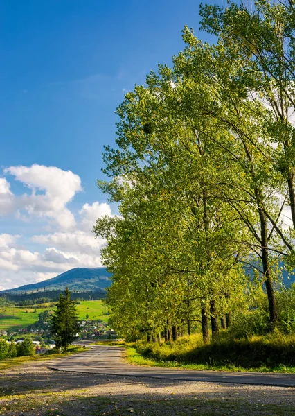 Rad Träd Längs Vägen Bergen Härlig Höstigt Landskap — Stockfoto