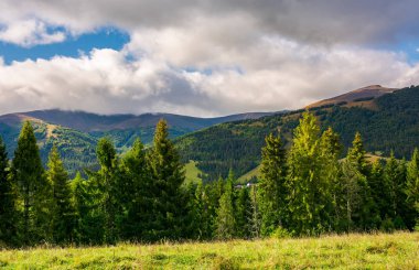 erken sonbaharda güzel dağlık sahne. bulutlu gökyüzü parlak ve sıcak bir gün. Orman otsu çayır üzerinde. bir kırsal yürüyüş için iyi bir zaman