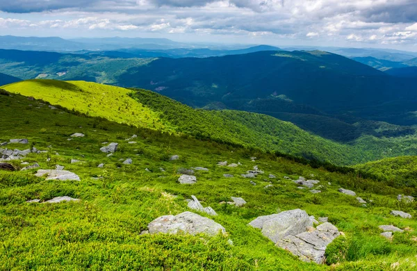 Grassy Slope Rocks High Altitude Mountains Beautiful Summer Landscape Carpathians — Stock Photo, Image