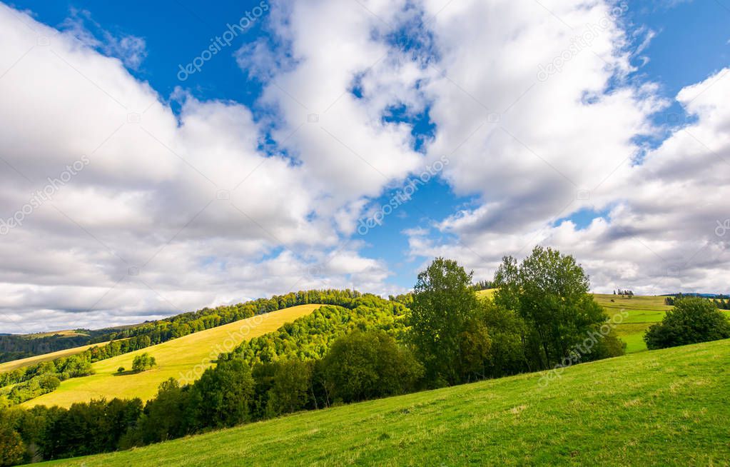 peaceful nature scenery in early autumn. beautiful weather. gorgeous cloud formation over the forested hills