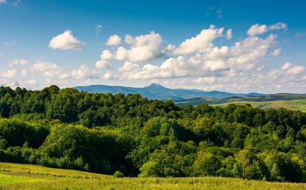 Krásné Letní Krajina Horský Hřeben Vysokým Vrcholem Lesem Krásná Obloha — Stock fotografie
