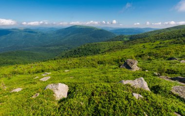 güzel yaz manzara dağlarda. yeşil çimenli hillside ve mesafe blue mountains. çarpıcı doğa arka plan