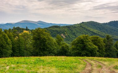 tepenin ülke yolda ormana. Karpat doğanın güzel sahne. yüksek dağ sırtı uzaktan