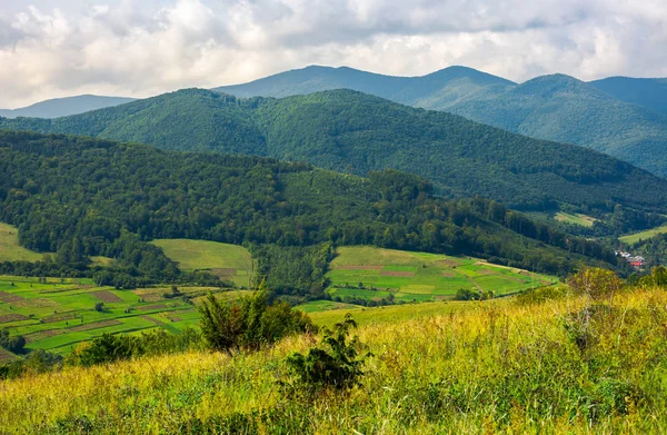 山の中の素敵な田園風景 農業分野の丘の上 美しい風景 — ストック写真