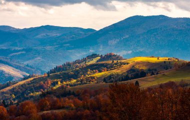 ışık bir tepeler üzerinde spot. güzel kırsal dağlarda. dramatik sonbahar hava