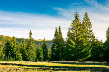 Orman bir çayır üzerinde güneş doğarken çeki düzen vermek. dağlarda harika manzara