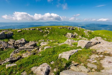 taze yaz manzara dağlarda. Karpat dağ güzel konumu. Dünya kavramı