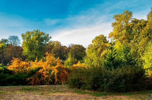 Městský Park Hlubokém Podzimu Krásné Městské Scenérie Noci Přírodní Barevné — Stock fotografie