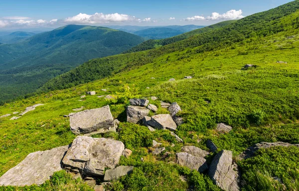 Čerstvý Letní Krajina Horách Skály Travnatém Svahu Krásné Umístění Karpatských — Stock fotografie