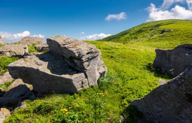 çimenli tepe tarafı kayalar ile. güzel yaz sahne dağları
