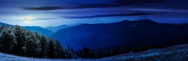 gece ay ışığında dağlık manzara Panoraması. otsu çayır ormanın içinde Hill'e aşağı. güzel yaz manzara