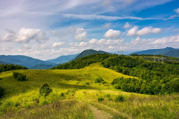 Paisagem Montanhosa Início Outono Caminho Através Prado Gramado Para Floresta — Fotografia de Stock