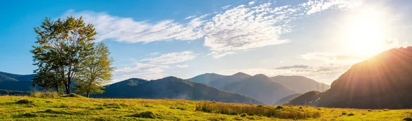 Panorama Paisaje Montañoso Árboles Prado Herboso Torre Línea Eléctrica Distancia —  Fotos de Stock