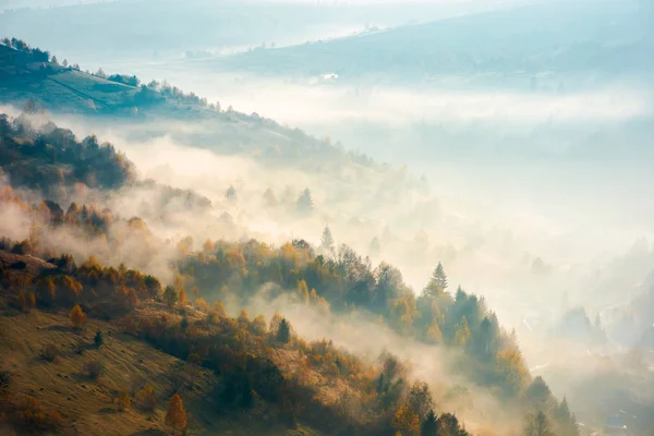 Schönen Nebligen Herbsthintergrund Schöne Landschaft Mit Wald Auf Hügel — Stockfoto