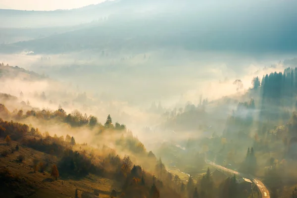 Nebel Steigt Über Dem Wald Auf Dem Hügel Auf Schöne — Stockfoto