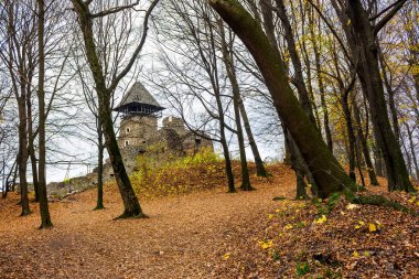 Sonbahar yapraksız ormandaki ortaçağ kalesi. Nevytsky kale Transcarpathia, Ukrayna'nın popüler turistik yer