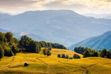 çimenli tepeye günbatımında siper al. güzel dağ sırtı uzakta. Harika yaz manzara
