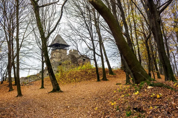 秋の葉の落ちた森の中世の要塞 Nevytsky 城はザカルパト ウクライナの人気の観光地です — ストック写真