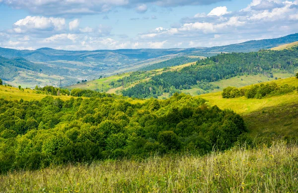 Campiña Boscosa Principios Otoño Hermoso Paisaje Naturaleza — Foto de Stock