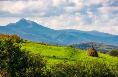 Samanlıkta çimenli bir yamaç. Ridge mesafe yüksek tepe ile. güzel tarım manzara dağlarda