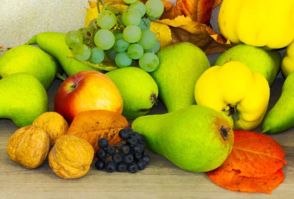 秋フルーツのコンポジション ビュー上から 自然食品 — ストック写真
