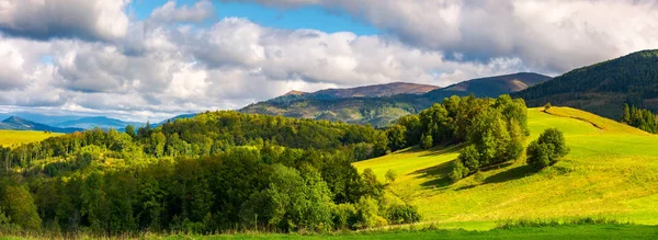 Magnífico Panorama Paisaje Montañoso Bosques Prado Alpino Herboso Luz Noche —  Fotos de Stock