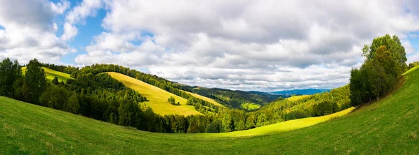 Панорамный Пейзаж Горах Лесные Холмы Лугами Солнечный День Облачное Небо — стоковое фото