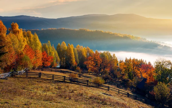 Obszarów Wiejskich Polowych Sadowniczych Jesienią Wschodzie Słońca Górski Krajobraz Mgłą — Zdjęcie stockowe