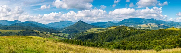 Panorama Över Ett Vackert Landskap Gräsbevuxen Ängar Och Skogsklädda Kullar — Stockfoto