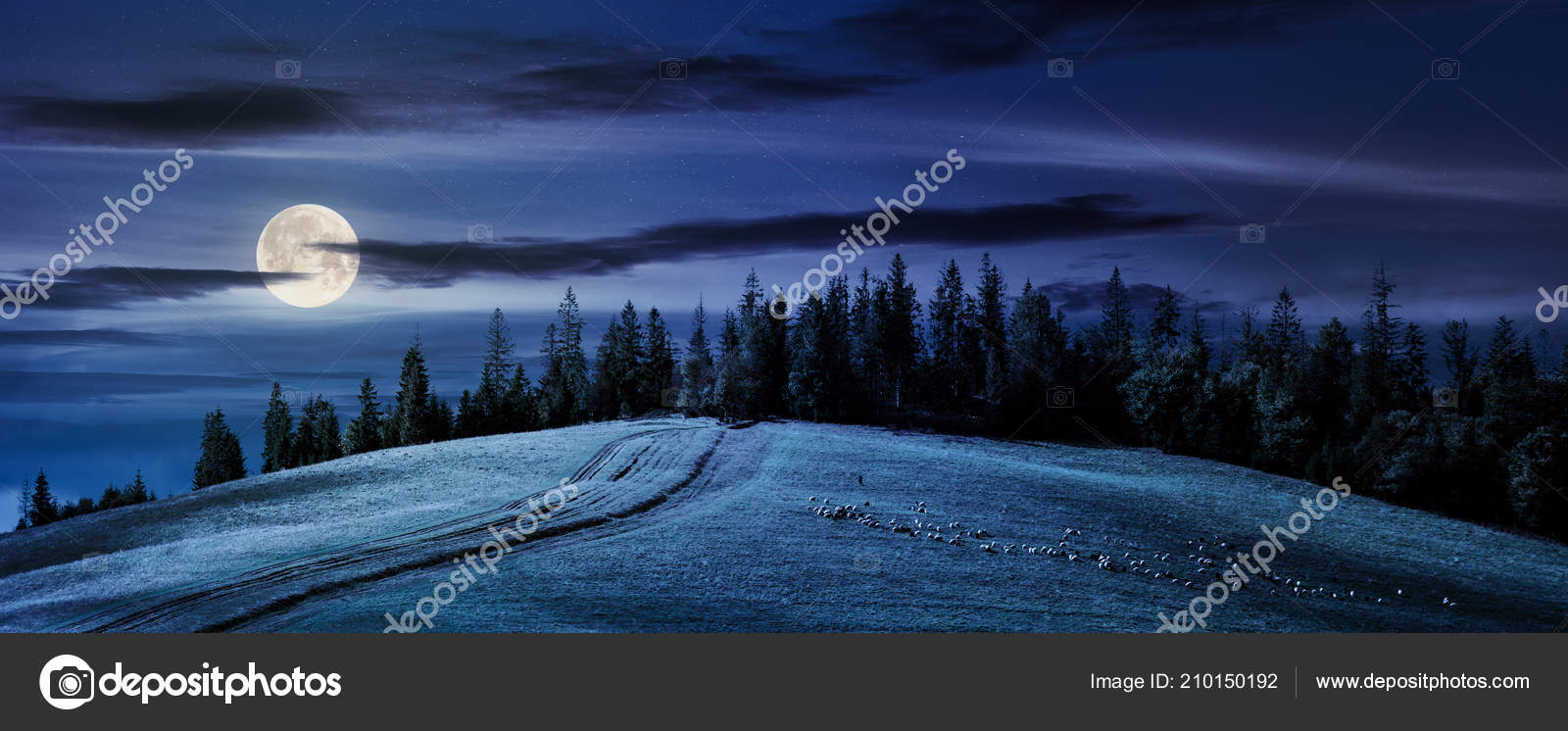 Road Uphill Forest Night Full Moon Light Beautiful Countryside Panoramic Stock Photo C Pellinni 210150192