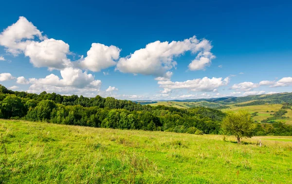 Dia Outono Brilhante Bom Tempo Nuvens Fofas Céu Azul Acima — Fotografia de Stock