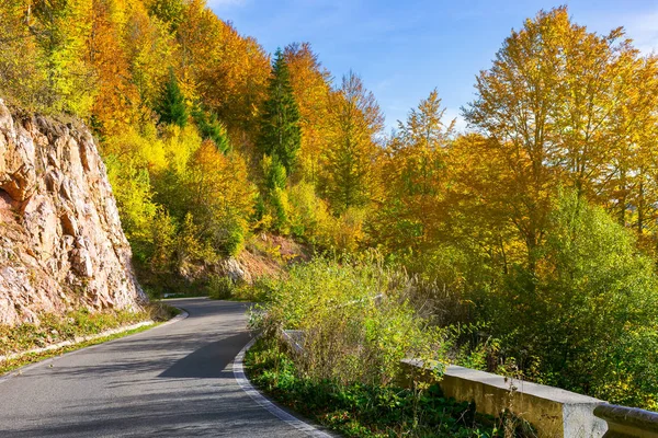 蜿蜒的道路穿过森林的山脉 晴朗的午后的美丽的秋天天气 — 图库照片