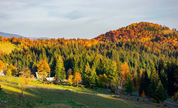 Hornatá Krajina Podzim Vesnice Lesa Večer — Stock fotografie