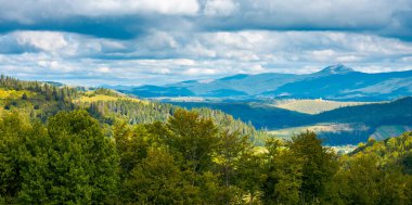 Sonbahar bulutlu havalarda. uzak tepe ile güzel kırsal