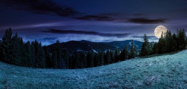 alp orman glade gece dolunay ışık Panoraması. erken sonbahar manzara güzel Karpat Dağları'nda. neşeli tatil içinde ekilmemiş boş arazi