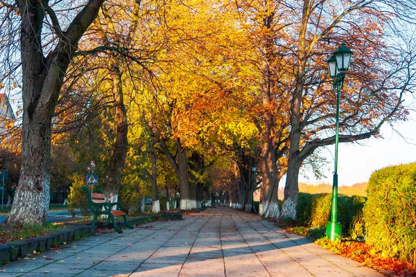 Green City Light Autumn Embankment Beautiful Urban Scenery Colorful Foliage — Stock Photo, Image