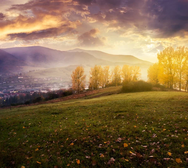 Bewolkt Zonsopgang Bergen Prachtige Platteland Herfst Bomen Met Gele Gebladerte — Stockfoto