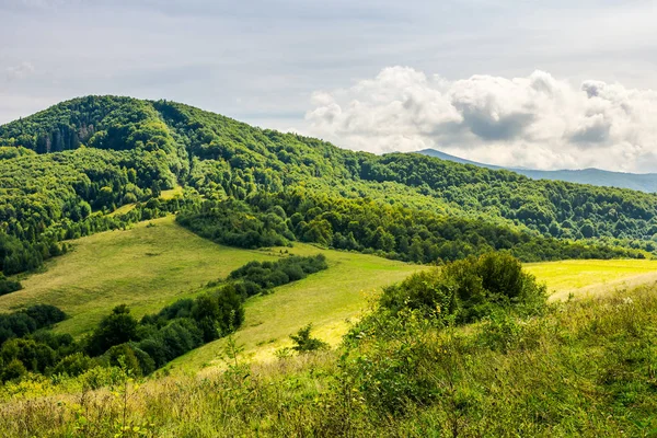 Graswiese Hügeln Schöne Naturkulisse Des Frühherbstes Den Bergen — Stockfoto