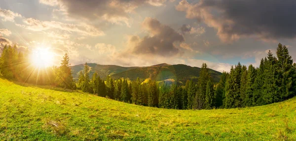 Panorama Över Alpin Skog Glade Vid Solnedgången Vackra Tidiga Höstlandskap — Stockfoto